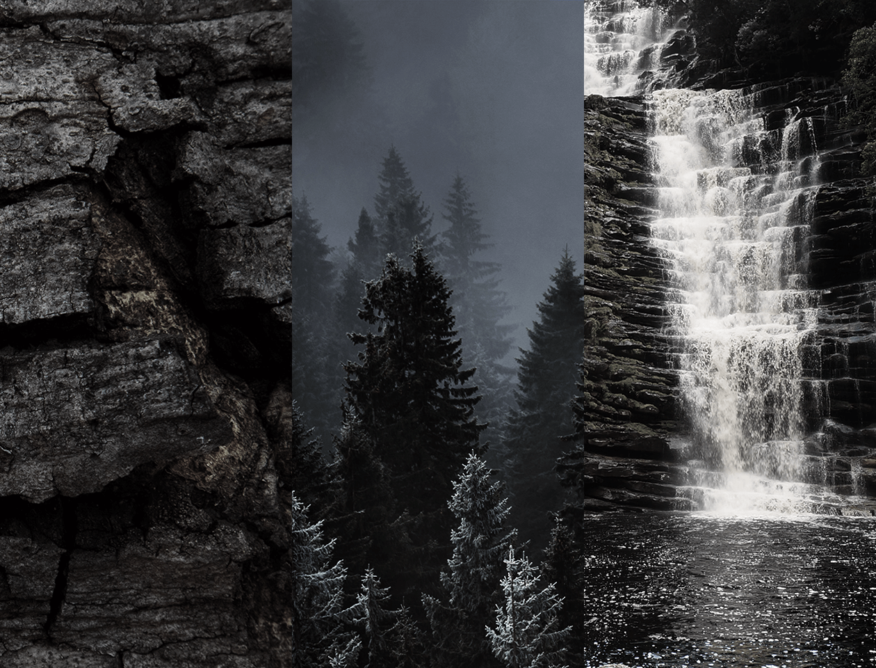 Dark Forest Mood